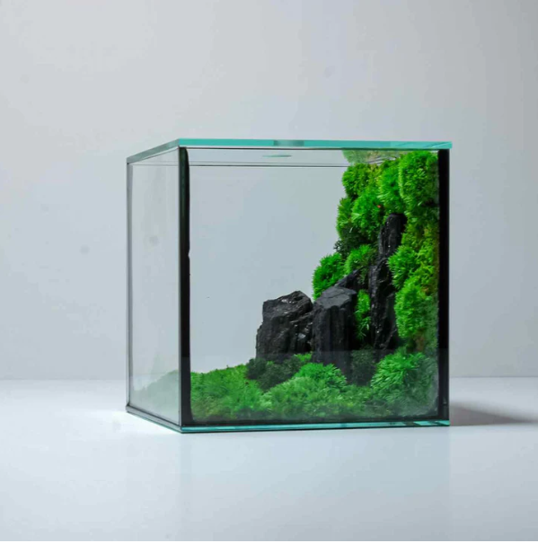 Cube Mossarium Dekoration 