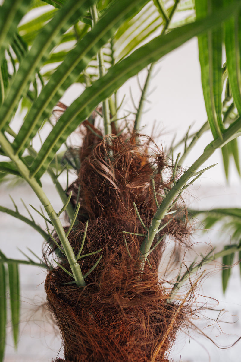 Palma da dattero artificiale Phoenix canariensis 200 cm