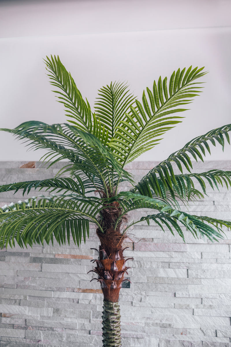 Artificial Date Palm Phoenix canariensis 250 cm