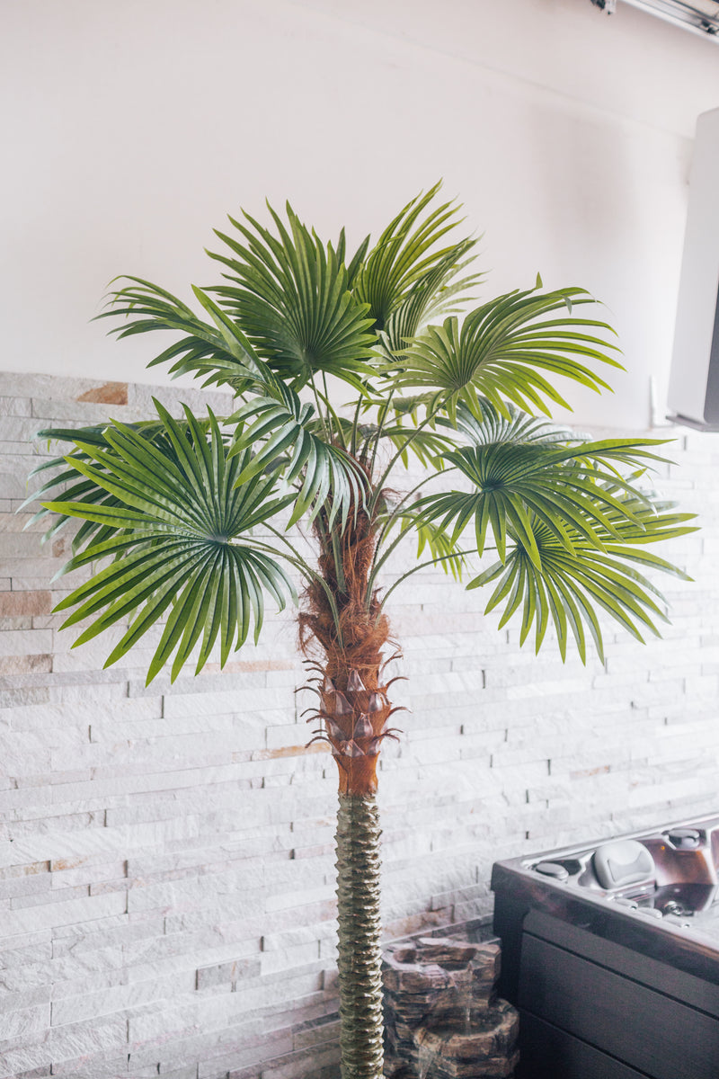Pianta artificiale Palma a ventaglio Chamaerops Trachycarpus 250 cm