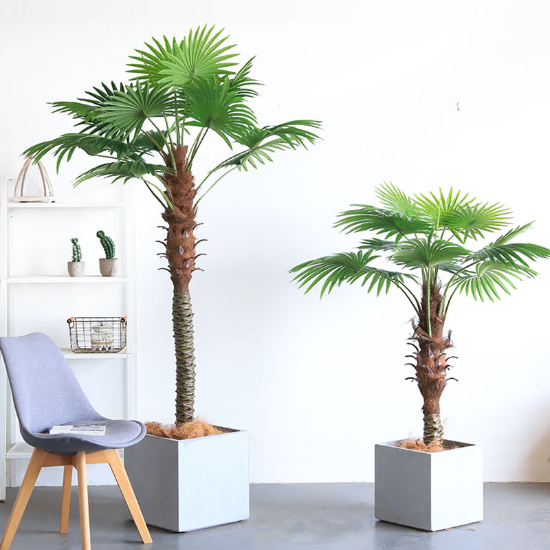 Pianta artificiale Palma a ventaglio Chamaerops Trachycarpus 250 cm