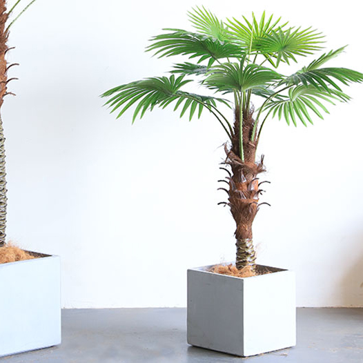 Planta artificial Palmito Chamaerops Trachycarpus 150 cm