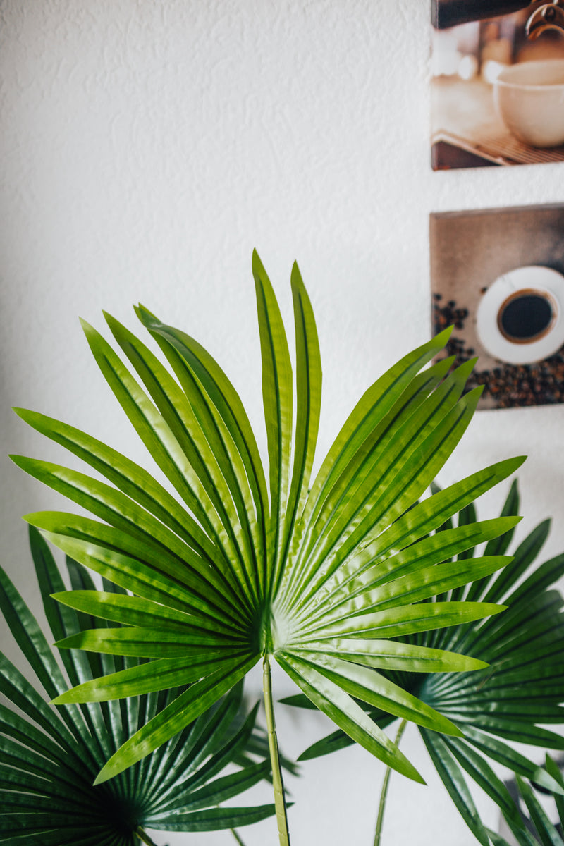 Artificial plant Fan palm Chamaerops Humilis 140 cm