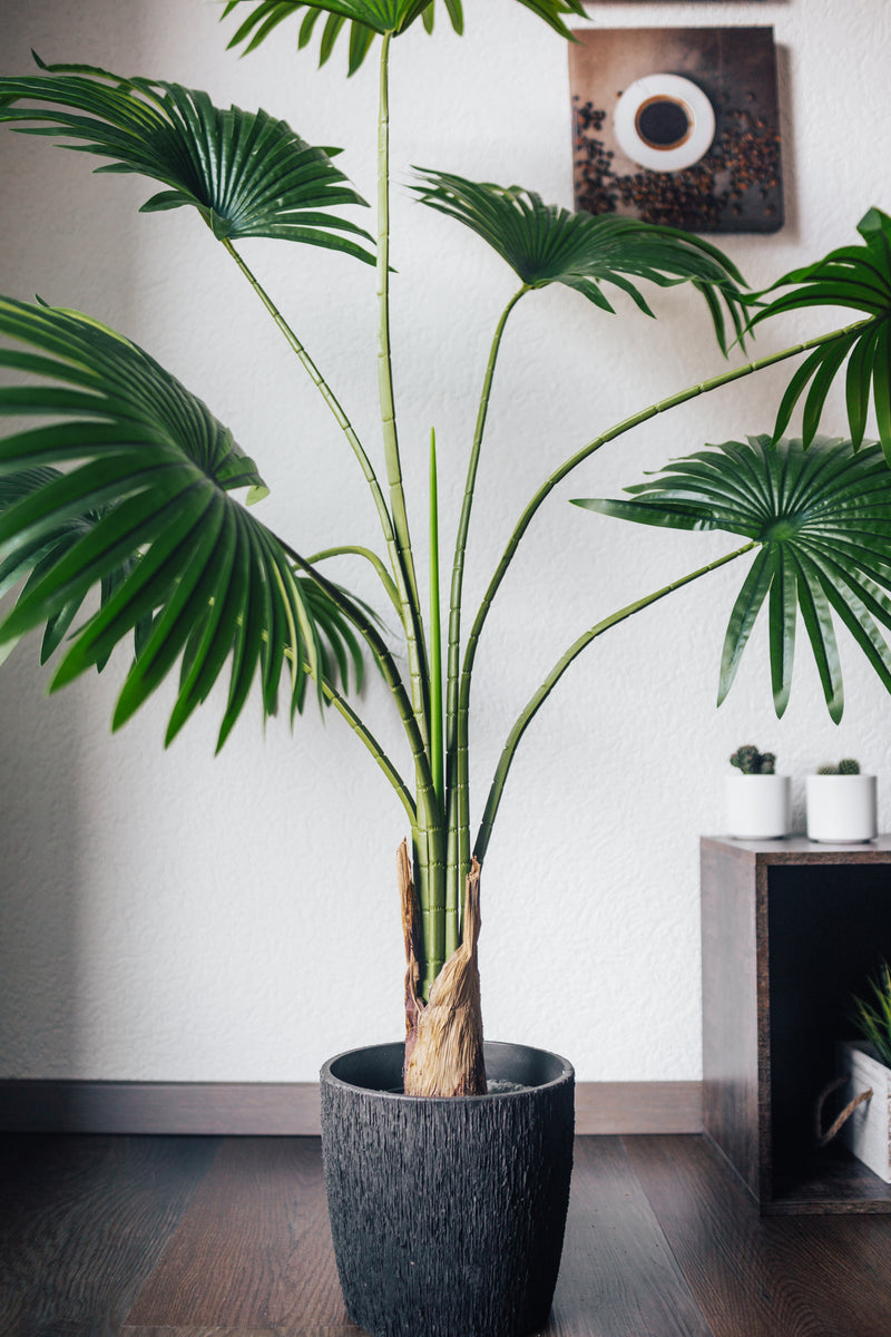 Artificial plant Fan palm Chamaerops Humilis 140 cm