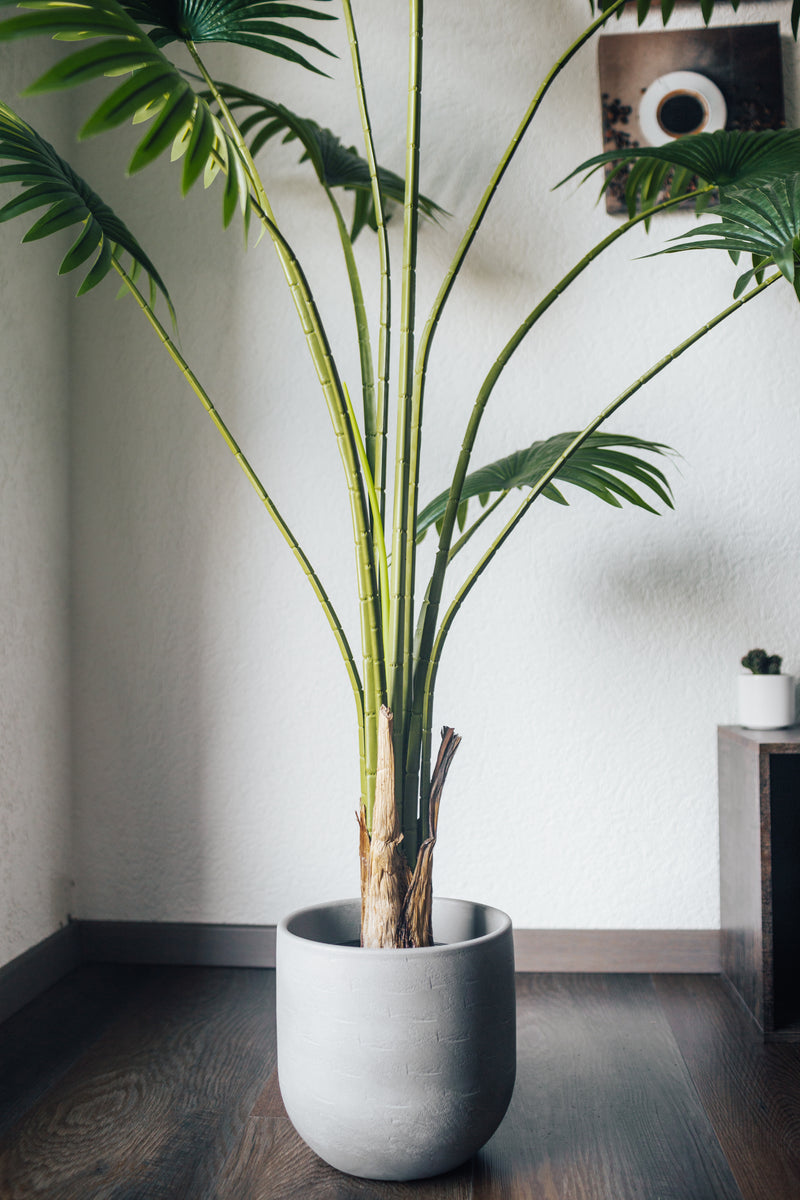 Plante artificielle Palmier éventail Chamaerops Humilis 200 cm