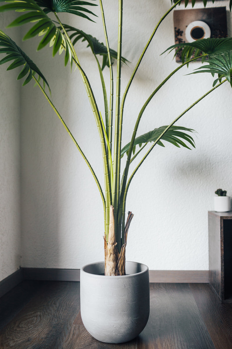 Artificial plant Fan palm Chamaerops Humilis 180 cm