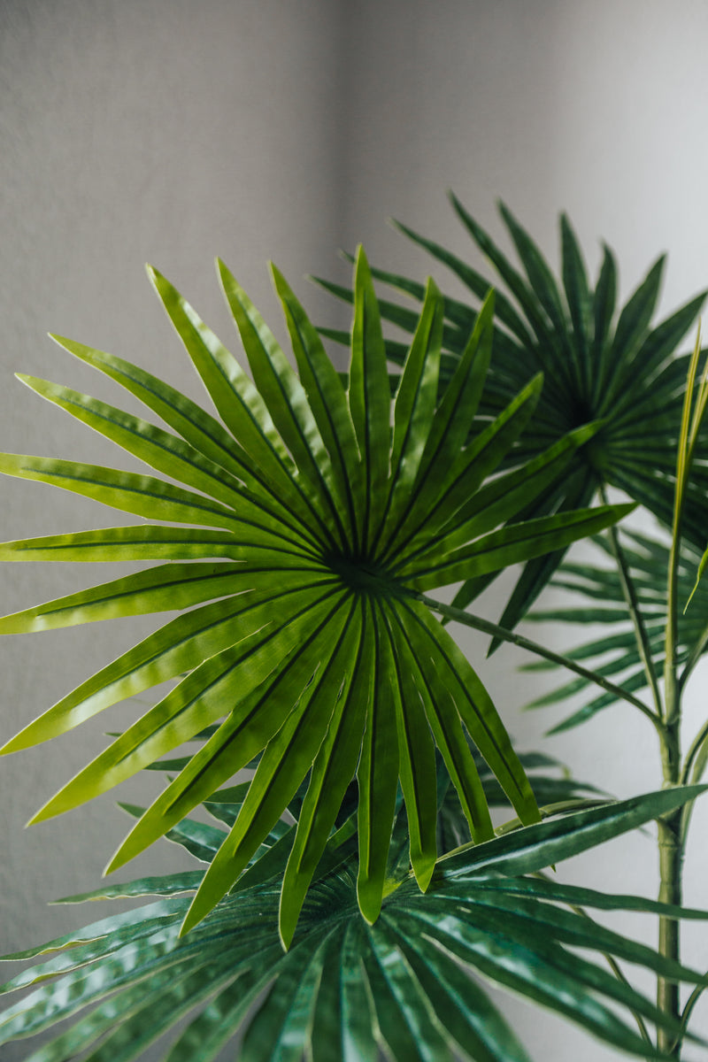 Artificial plant Fan palm Chamaerops Humilis 80 cm