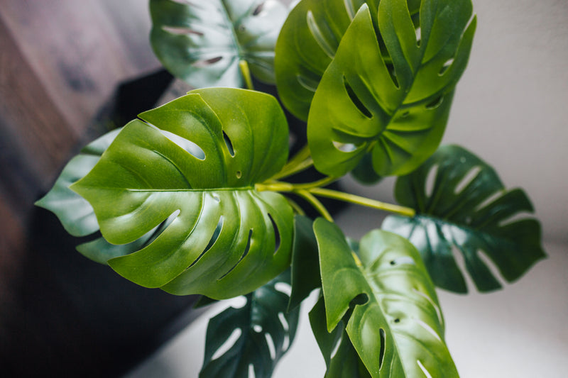 Artificial plant Philodendron Monstera 70 cm