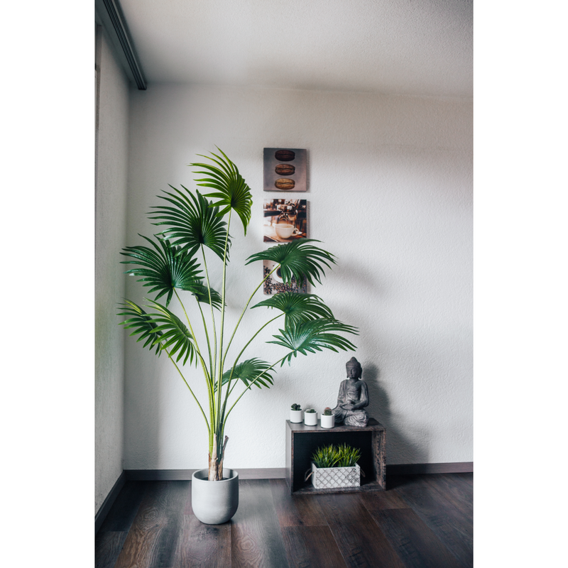 Artificial plant Fan palm Chamaerops Humilis 200 cm